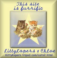 "Always Loving Cats"...the name says it all!