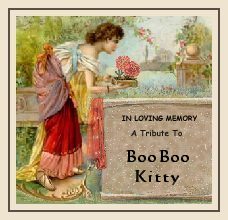 A Tribute to my sweet baby Boo....