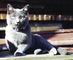 Posing...