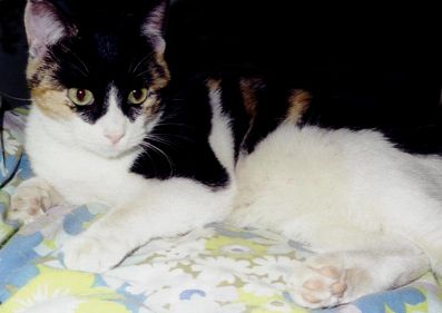 " Izat a liddle biddy BUG? "