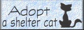 PLEASE! No more homeless pets!