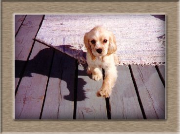 Murphy