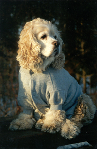 murphy