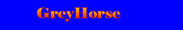 test logo