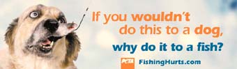 Fishing is cruel and barbaric.
Click for more details.