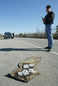 Click to see a larger photo.