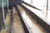 The front steps drenched and slippery after a shower.

Click this picture to see a larger photo.