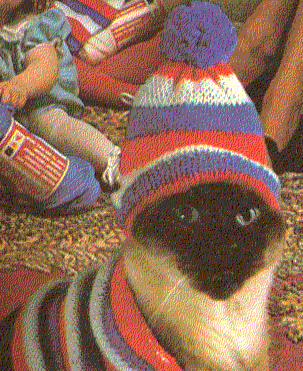 Can you Believe This? The woman just keeps cranking out hats! I told her I didn't want another, but here it is, and nothing will do but I must wear it for her...The things I do...The stories I could tell...