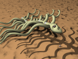 Bone Monster