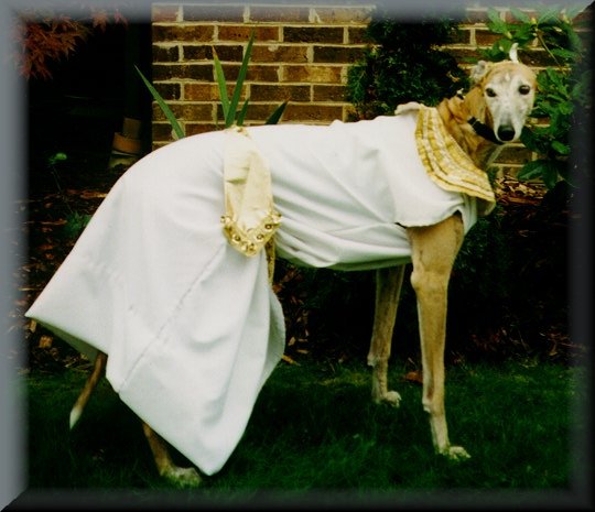 http://www.geocities.com/greys4me/Cleo1.JPG
