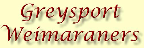 Greysport Weimaraners