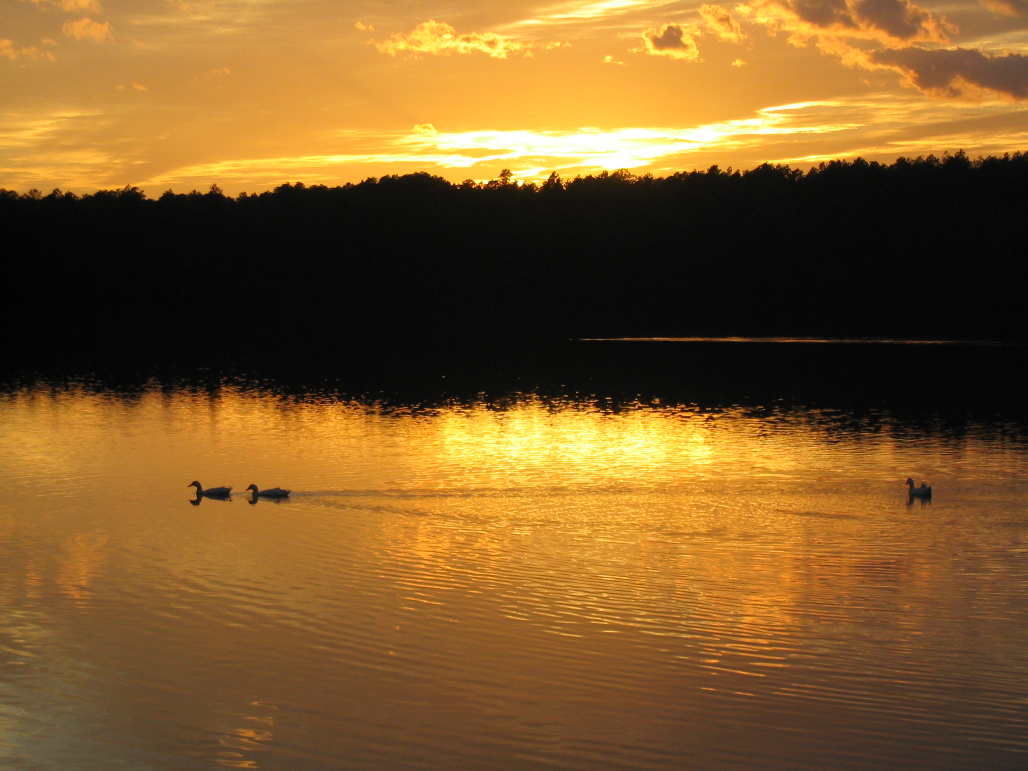Gorgeous sunset over Southern Pines Reservoir Park.