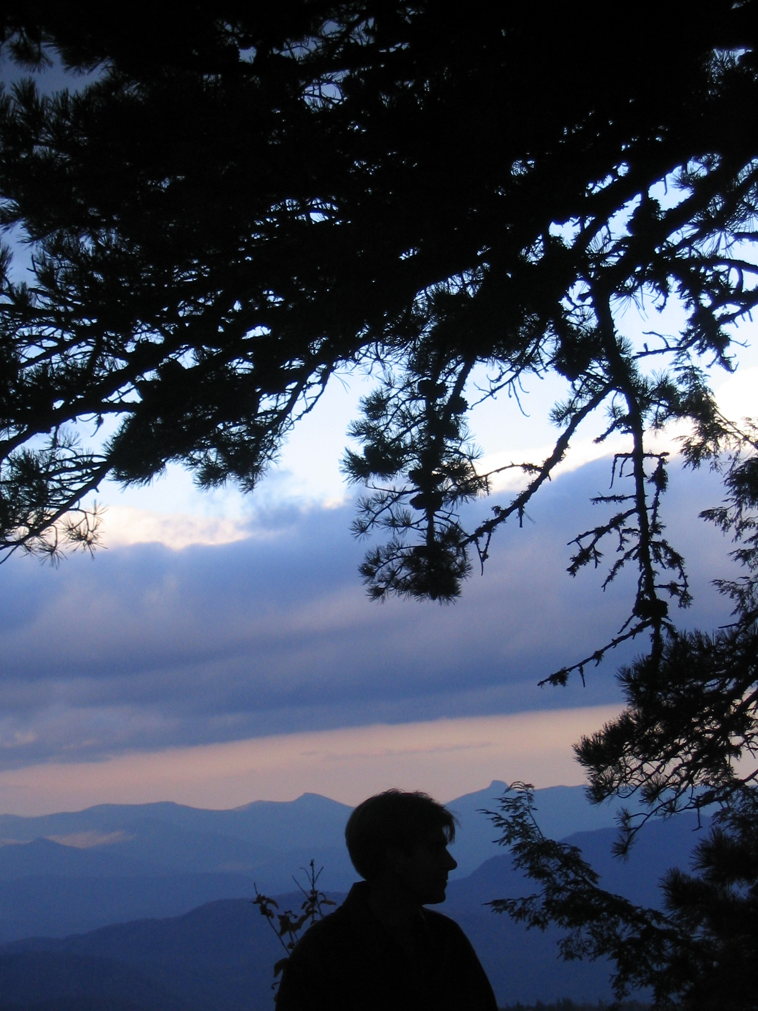 Blue Ridge Parkway near Mt. Mitchell with Grandfather Mt. in back.