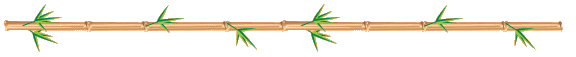 Bamboo Horizontal Line