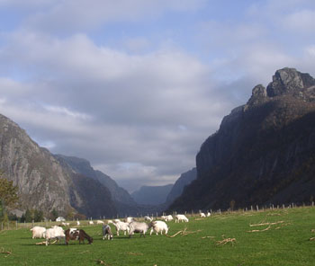 Vaulen mtte Bjerkreim