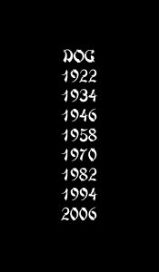 dog years