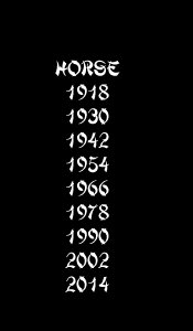 horse years