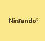 the Nintendo(tm) logo