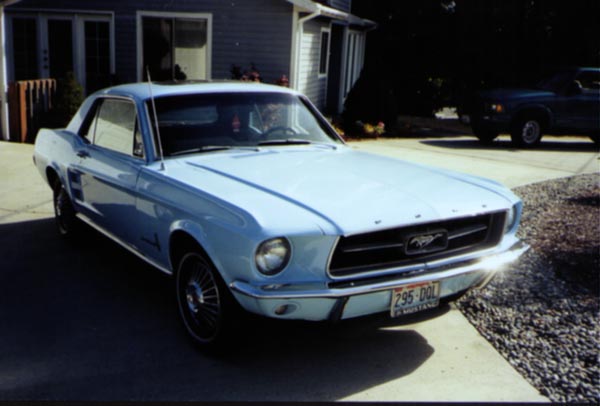 /user/mustang4a.jpg
