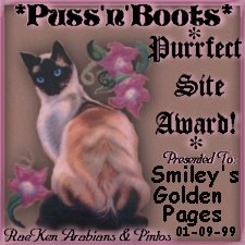 awrdsmileypuss.jpg (17369 bytes)