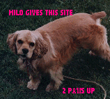 milo's award