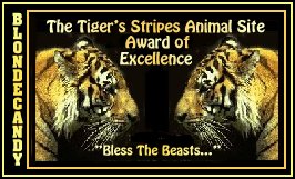 xxtigerStripes.jpg (21045 bytes)