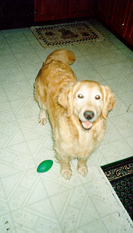 abby.jpg (86828 bytes)