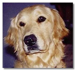 boo1.jpg></p>
        <p align=