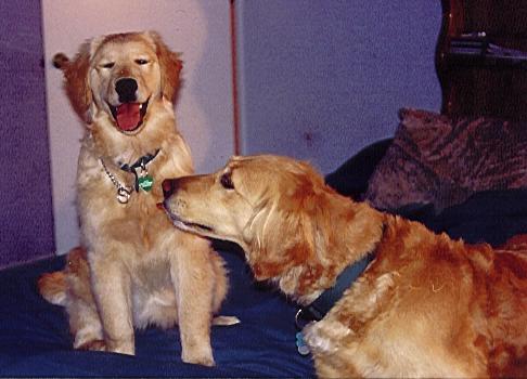 motherlove.JPG (30313 bytes)