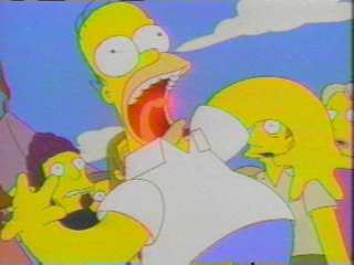 homerinsanitypepper.jpg