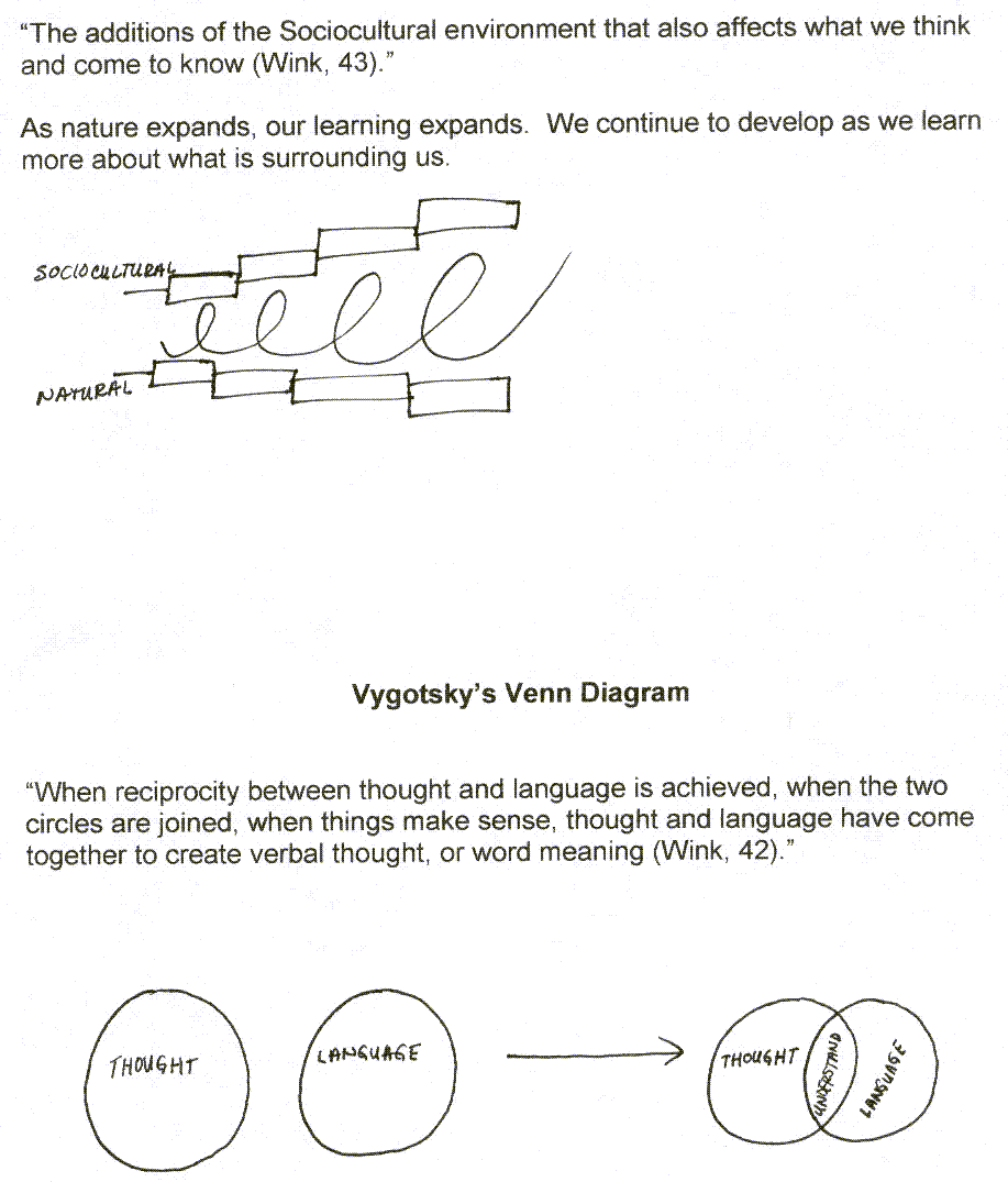 cross cultural child rearing piaget vs vygotsky venn diagram