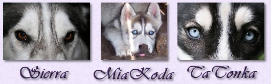 Wolves- Sierra, MiaKoda, TaTonka