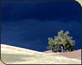 Storm Approaching