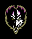 front view of raven