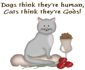 Spoiled Cat