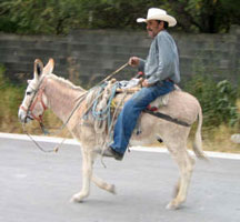 picture of potrero chico