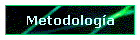Metodolog�a