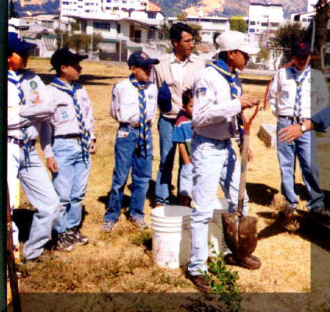 ARBOL_CHICOS (2).jpg (74062 bytes)