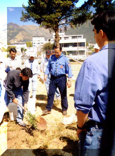 ARBOL_JUANFER (2).jpg (76755 bytes)