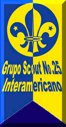 BANDERA DEL GRUPO.jpg (40184 bytes)