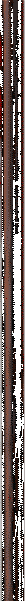 bordon horizontal.gif (5451 bytes)