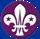 botonliz.jpg (6985 bytes)