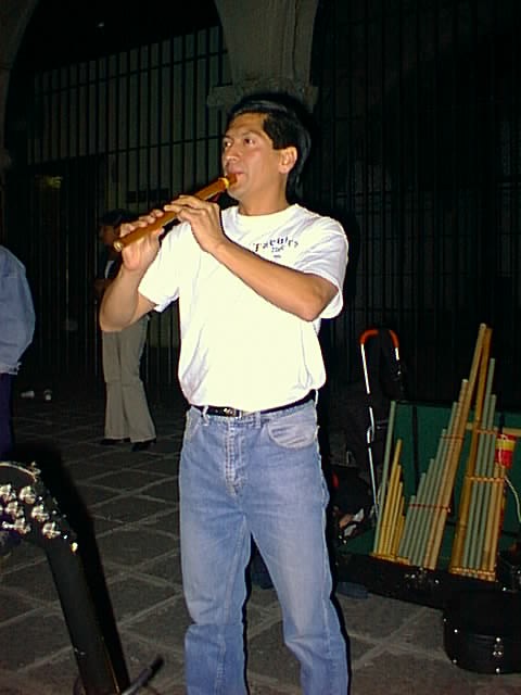 Guillermo Zaraz�a y su Quena