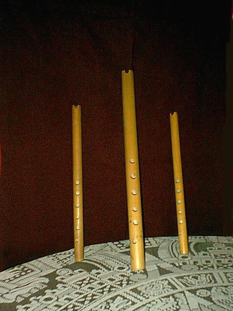 Quenas y quenacho