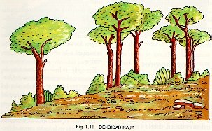 Densidad baja