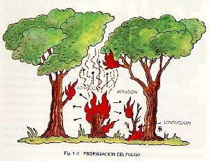 Propagación del fuego