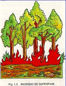 Incendio de superficie