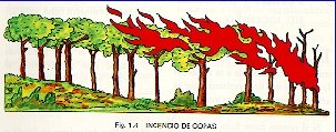 Incendios de copas