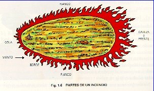 Partes de un incendio