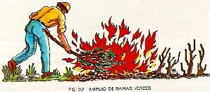 Empleo de Ramas Verdes